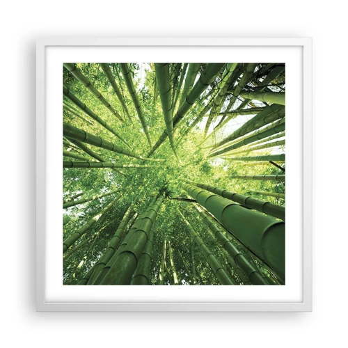 Plagát v bielom ráme - V bambusovom háji - 50x50 cm