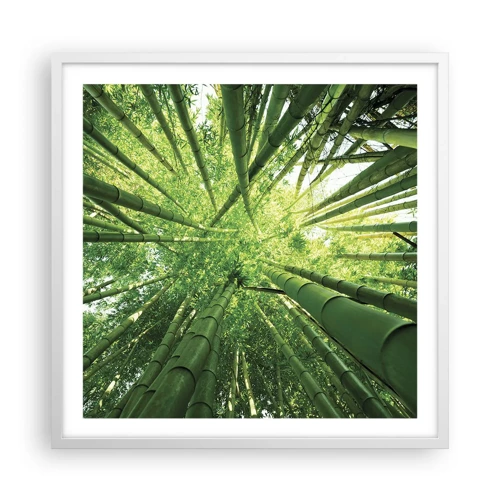 Plagát v bielom ráme - V bambusovom háji - 60x60 cm