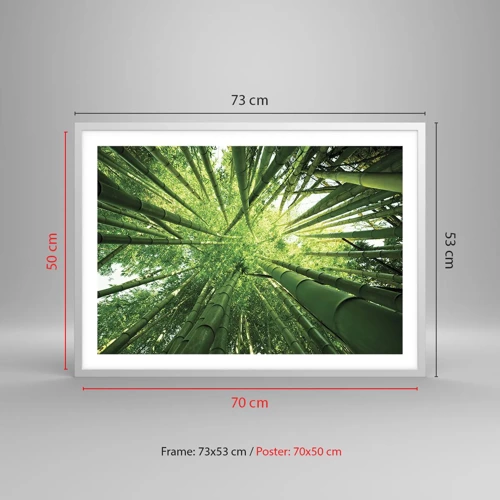 Plagát v bielom ráme - V bambusovom háji - 70x50 cm
