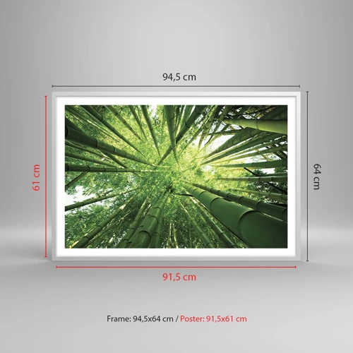 Plagát v bielom ráme - V bambusovom háji - 91x61 cm