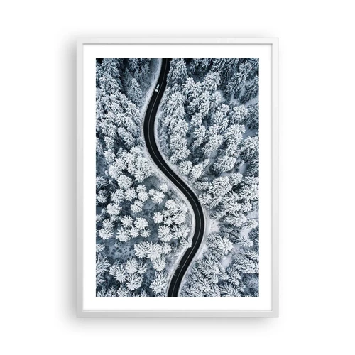 Plagát v bielom ráme - Zimným lesom - 50x70 cm
