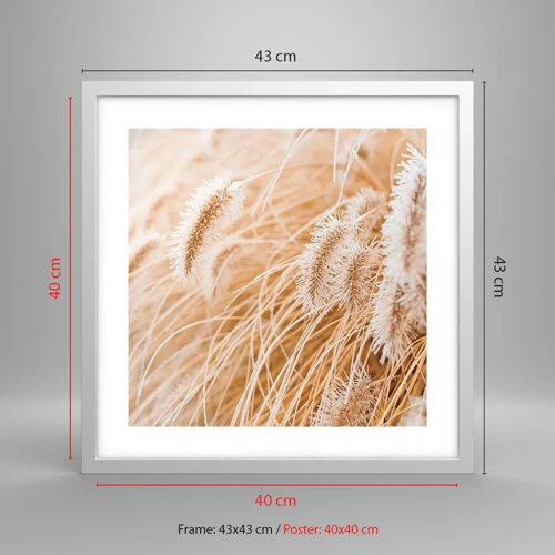 Plagát v bielom ráme - Zlaté šušťanie tráv - 40x40 cm