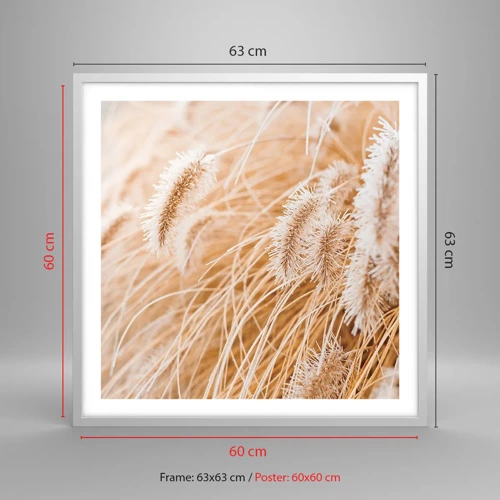 Plagát v bielom ráme - Zlaté šušťanie tráv - 60x60 cm