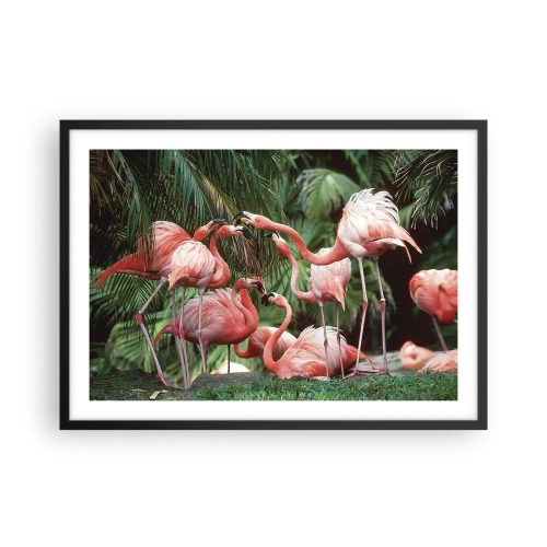 Plagát v čiernom ráme Arttor 70x50 cm - Popoludňajšie klebety - Kŕdeľ Plameniakov, Vták, Príroda, Tropická Vegetácia, Exotické, Do obývacej izby, Do spálne, biela, Čierna, Vodorovné, P2BAA70x50-4804