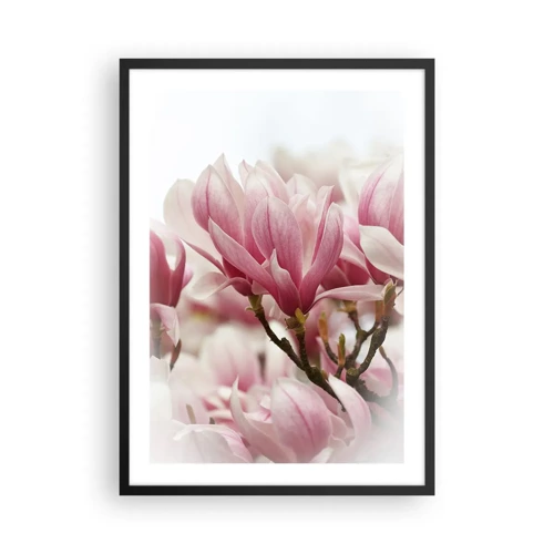 Plagát v čiernom ráme - Jarné kvety - 50x70 cm