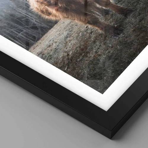 Plagát v čiernom ráme - Pozdravy z horskej lúky - 50x70 cm