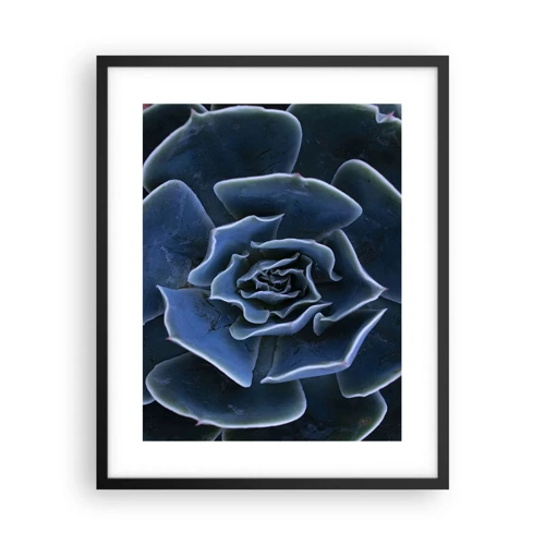 Plagát v čiernom ráme - Púštny kvet - 40x50 cm
