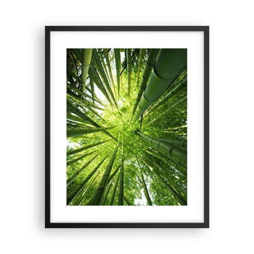 Plagát v čiernom ráme - V bambusovom háji - 40x50 cm