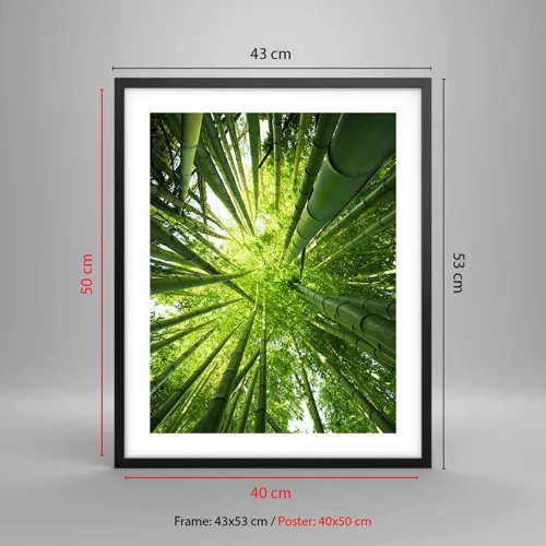Plagát v čiernom ráme - V bambusovom háji - 40x50 cm