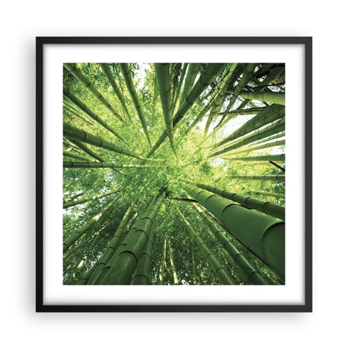 Plagát v čiernom ráme - V bambusovom háji - 50x50 cm
