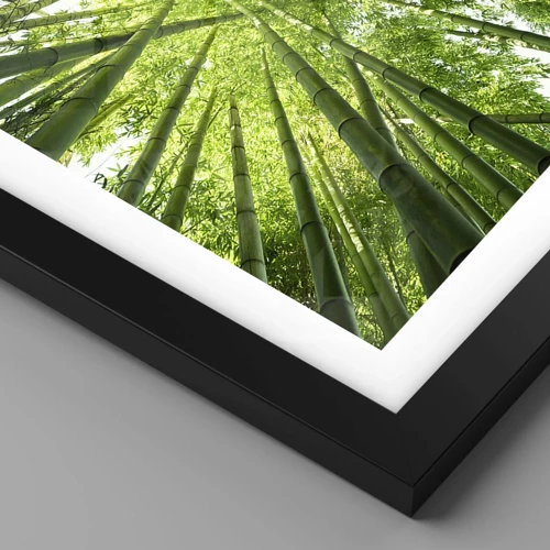 Plagát v čiernom ráme - V bambusovom háji - 50x50 cm
