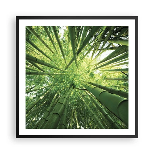 Plagát v čiernom ráme - V bambusovom háji - 60x60 cm