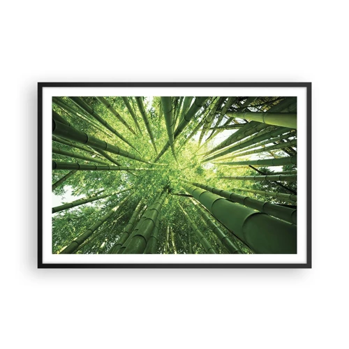 Plagát v čiernom ráme - V bambusovom háji - 91x61 cm