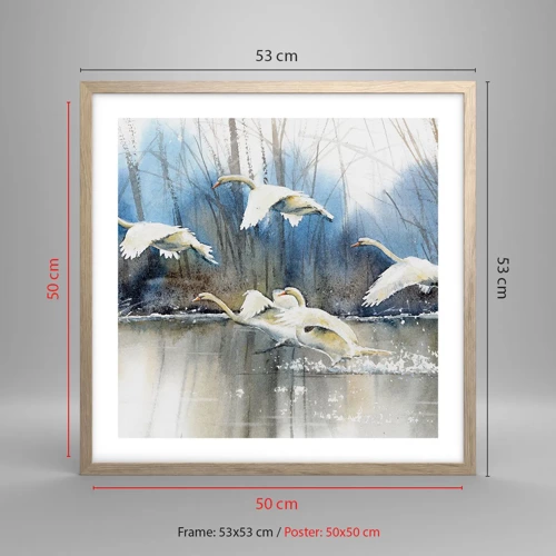 Plagát v ráme zo svetlého duba - Ako v poviedke o divokých labutiach - 50x50 cm