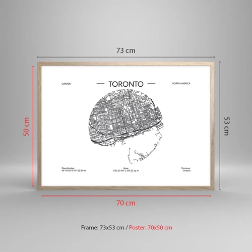 Plagát v ráme zo svetlého duba - Anatómia Toronta - 70x50 cm