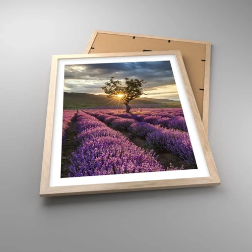 Plagát v ráme zo svetlého duba - Aróma vo fialovej - 40x50 cm
