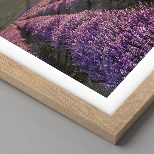 Plagát v ráme zo svetlého duba - Aróma vo fialovej - 70x50 cm