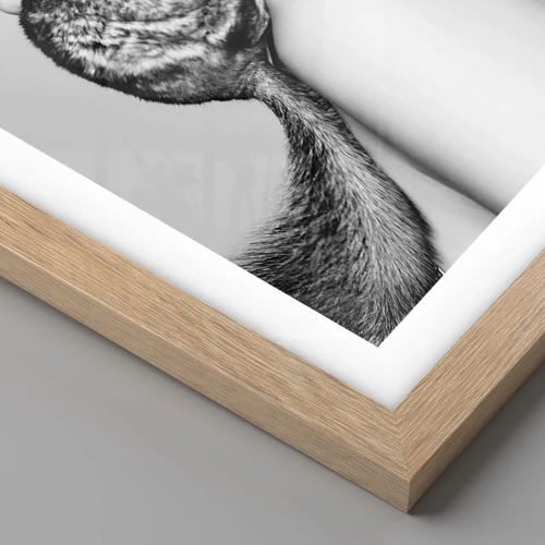 Plagát v ráme zo svetlého duba - Dáma s činčilou - 60x60 cm