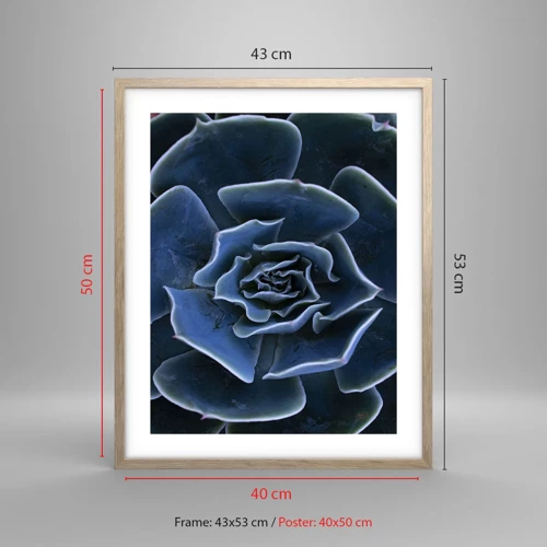 Plagát v ráme zo svetlého duba - Púštny kvet - 40x50 cm
