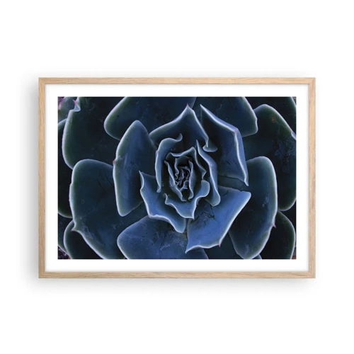 Plagát v ráme zo svetlého duba - Púštny kvet - 70x50 cm