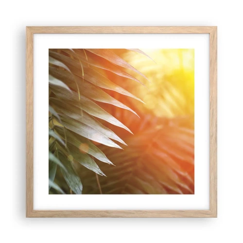 Plagát v ráme zo svetlého duba - Ráno v džungli - 40x40 cm