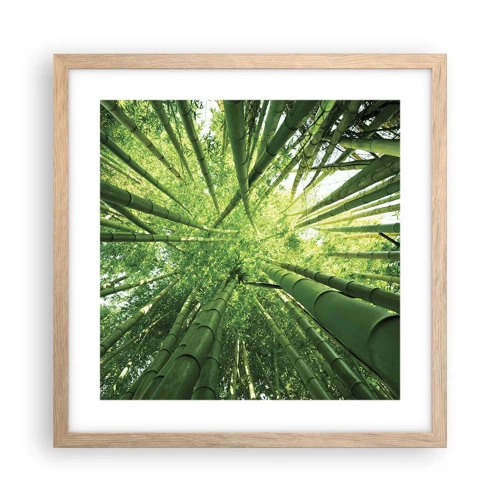 Plagát v ráme zo svetlého duba - V bambusovom háji - 40x40 cm