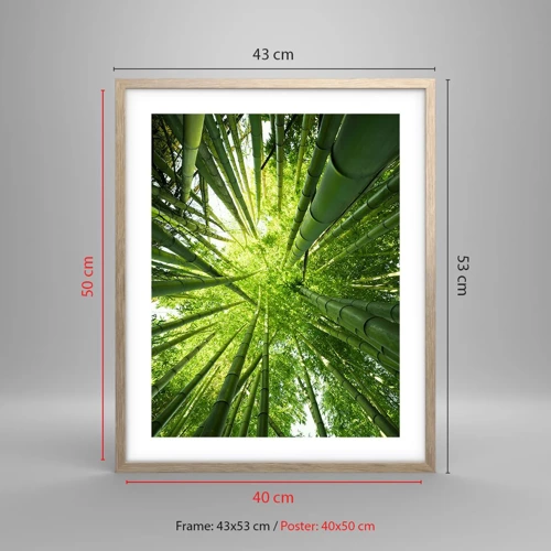 Plagát v ráme zo svetlého duba - V bambusovom háji - 40x50 cm
