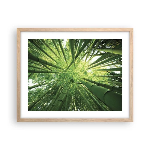Plagát v ráme zo svetlého duba - V bambusovom háji - 50x40 cm