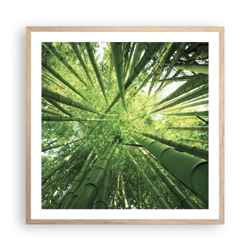 Plagát v ráme zo svetlého duba - V bambusovom háji - 60x60 cm