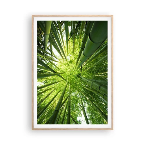 Plagát v ráme zo svetlého duba - V bambusovom háji - 70x100 cm