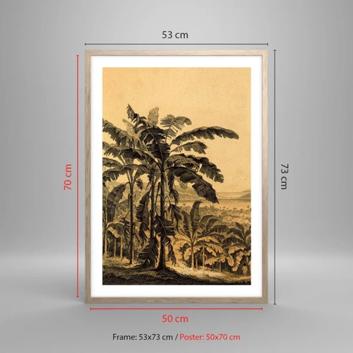 Plagát v ráme zo svetlého duba - V koloniálnom štýle - 50x70 cm