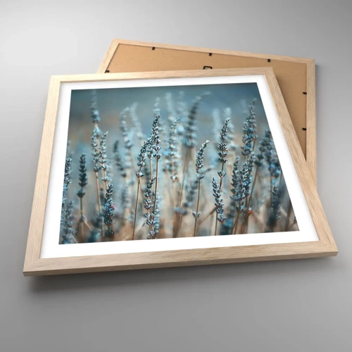 Plagát v ráme zo svetlého duba - Voňavý lán - 40x40 cm